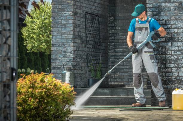 Trusted Bellevue, IL Pressure Washing Services Experts